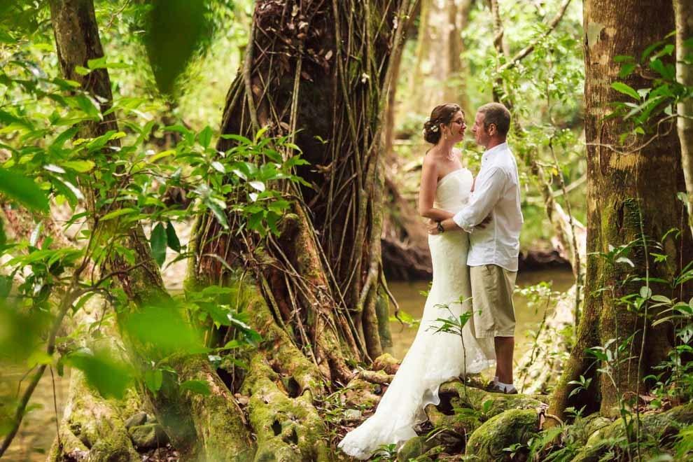 Noah Creek Eco Huts Lodge Cape Tribulation