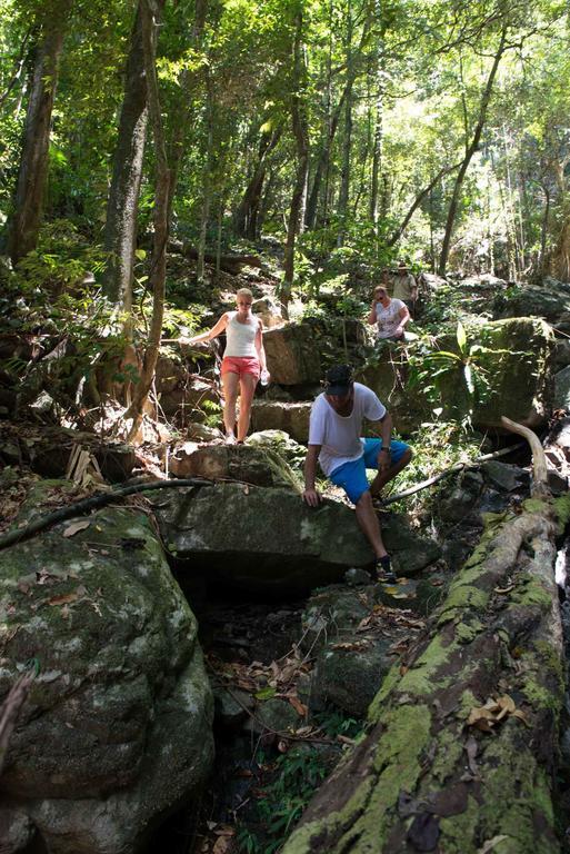 Lodge Noah Creek Eco Huts Cape Tribulation