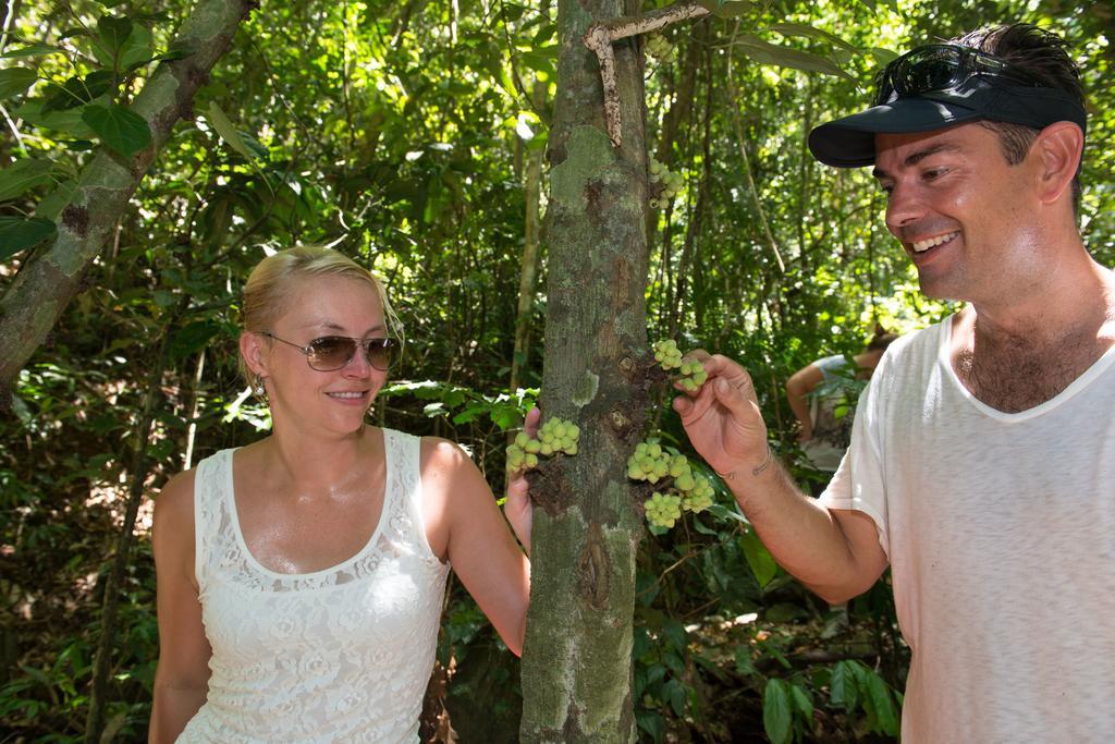 Noah Creek Eco Huts Lodge Cape Tribulation