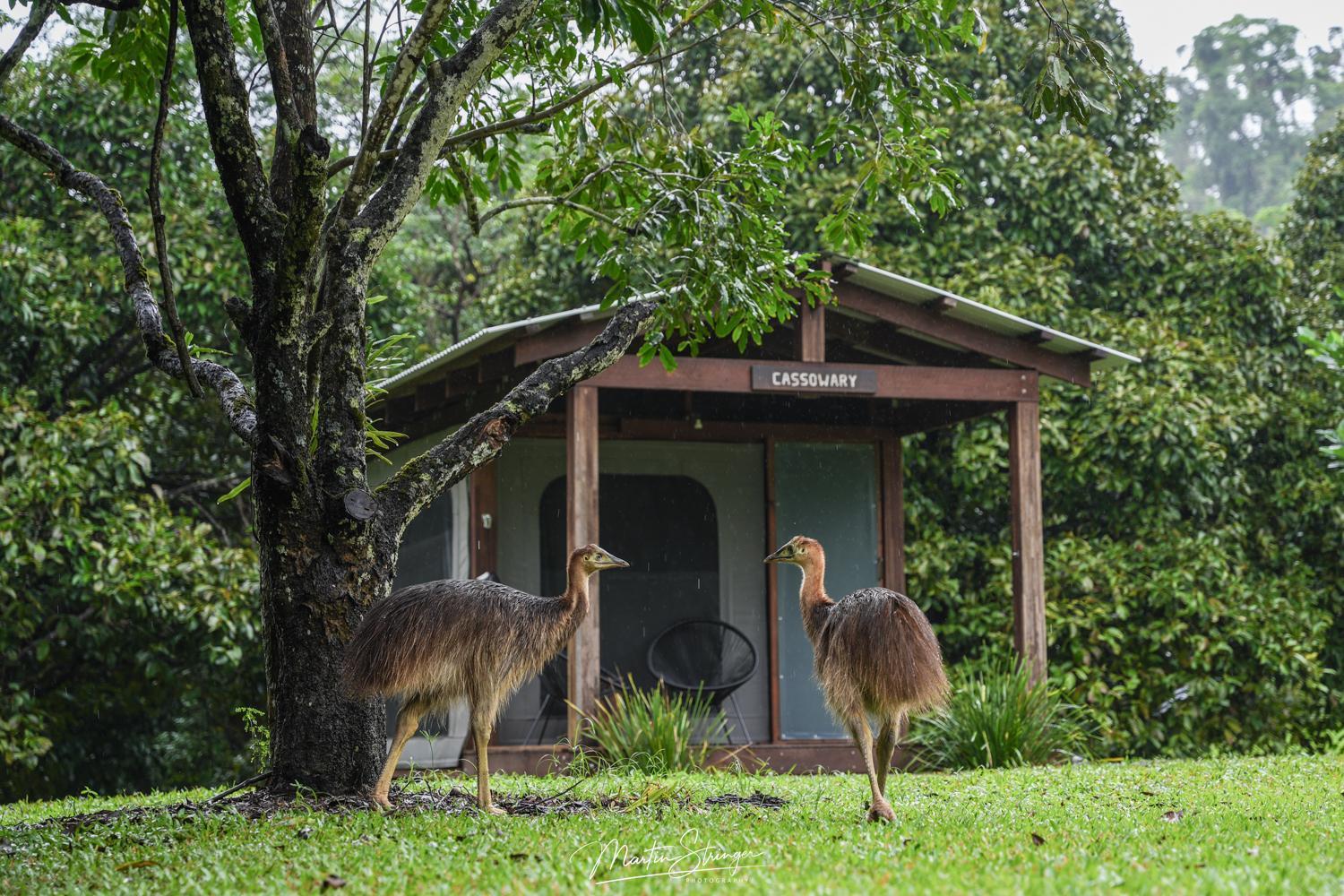 Noah Creek Eco Huts *