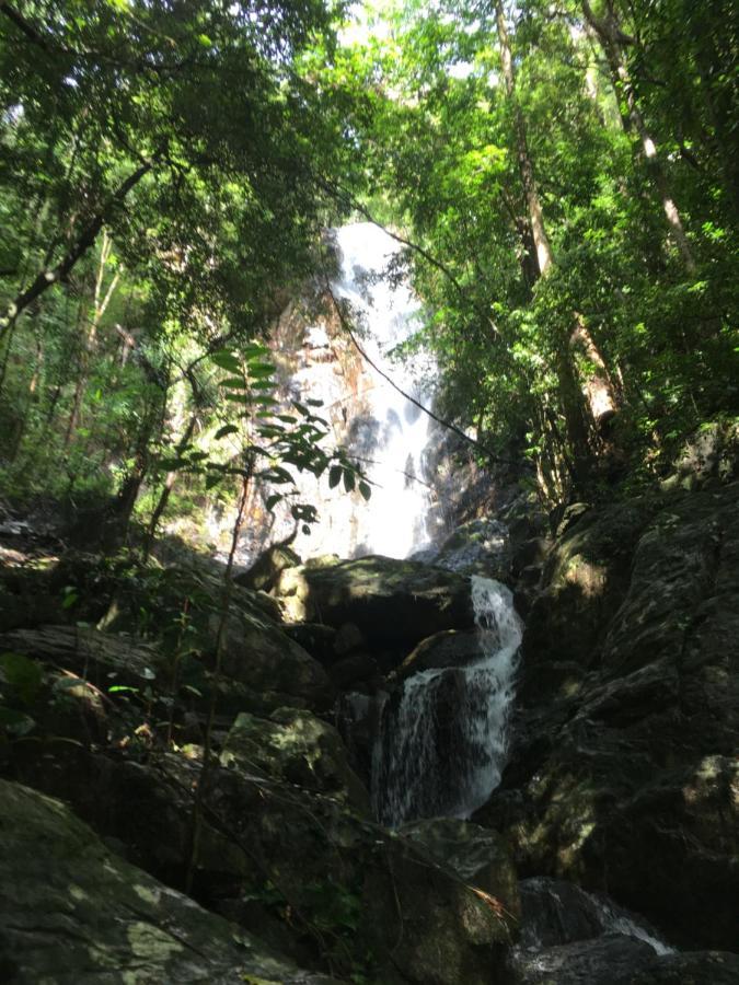 Noah Creek Eco Huts Lodge Cape Tribulation