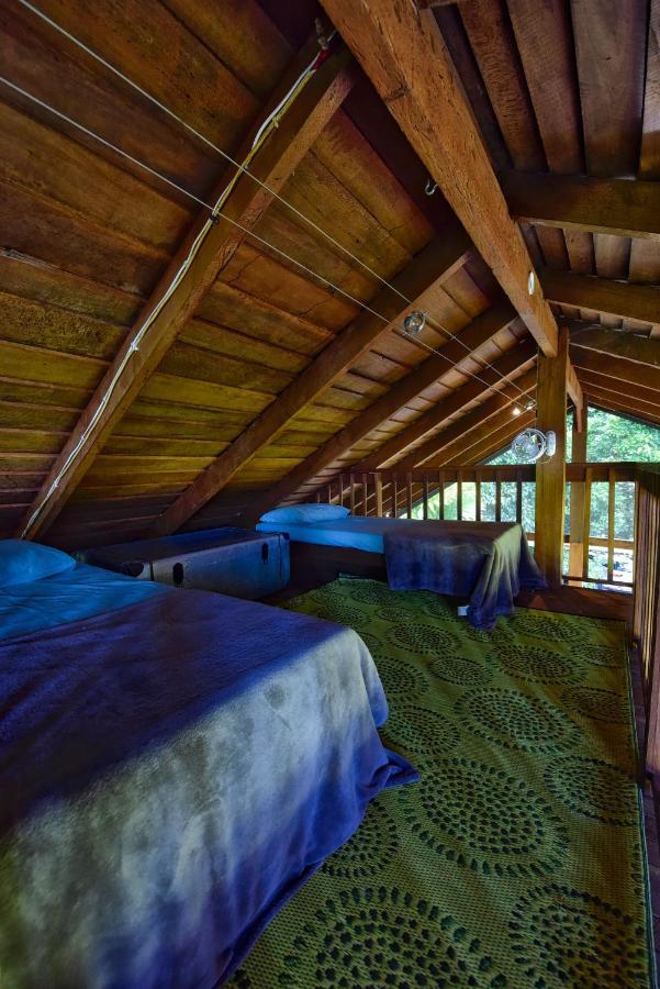 Noah Creek Eco Huts Cape Tribulation